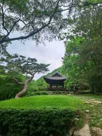 Old Gates, Mountain Vibes, and K-Drama Feels