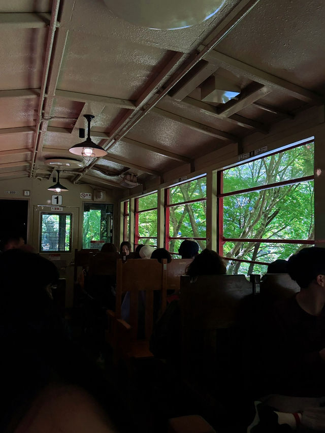 Kyoto Hozugawa River Cruise 🥰