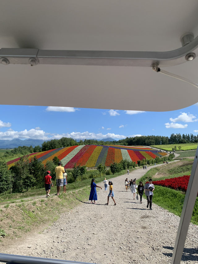 【北海道🇯🇵】道央の四季彩の丘へ💐