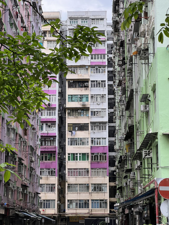 Unique Experiences in HK - Architecture 