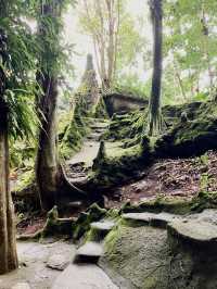 เกาะสวรรค์แดนสมุย