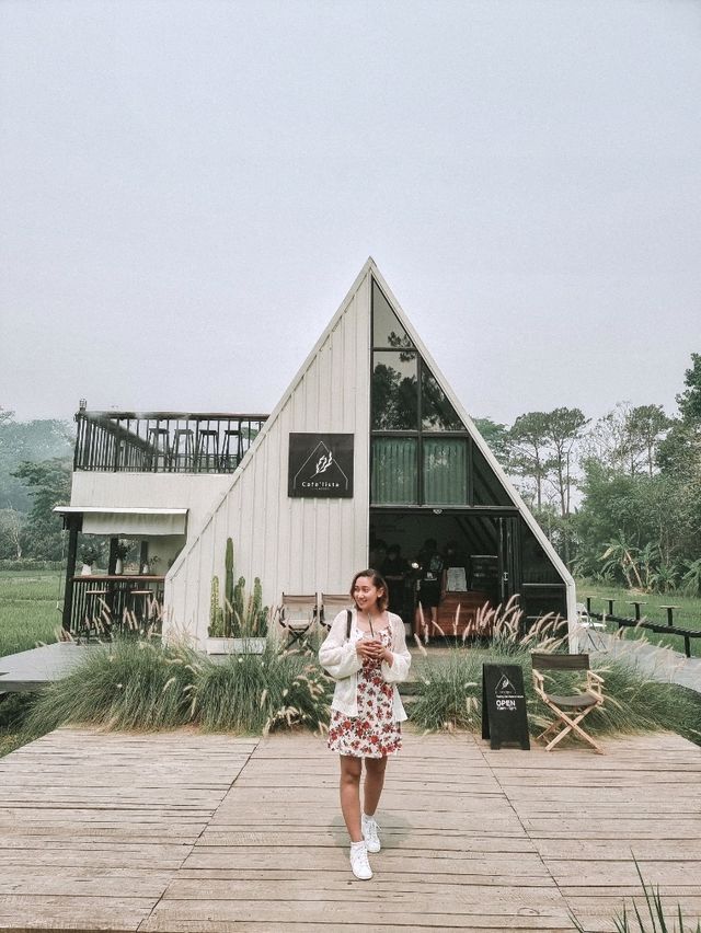 Cafe Hopping in Chiang Rai – A Must for Coffee & Photo Lovers! 📸☕