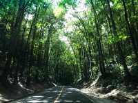 Captivating Beauty of Bohol