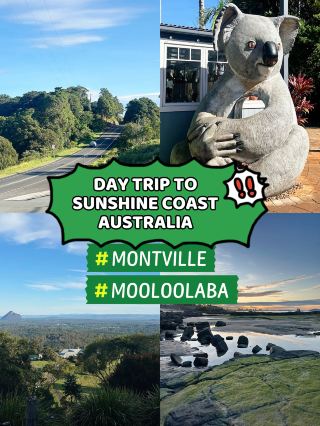Sunshine Coast Escape: One-Day Trip to Montville & Mooloolaba🌿🌅