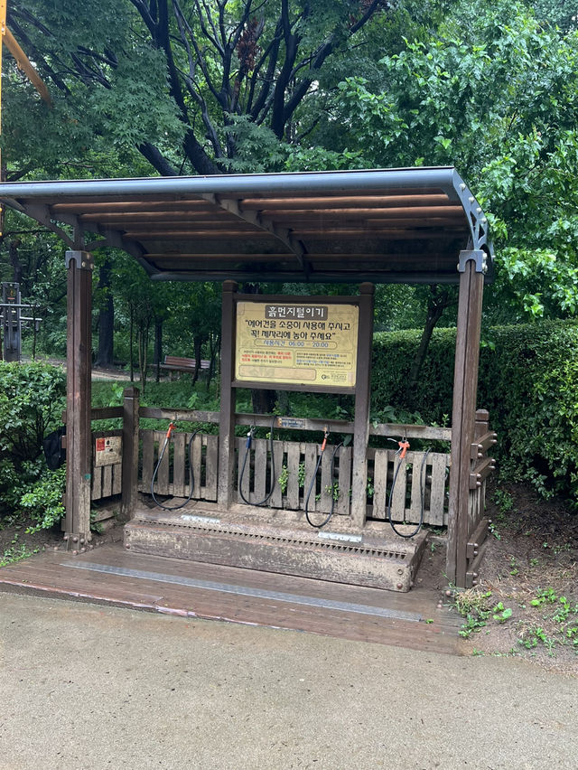 일자산 도시 자연공원