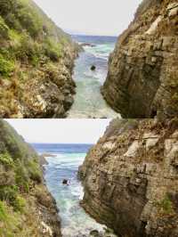 Carved by time and tide: the wild beauty of Remarkable Cave and Salmon Rock