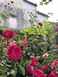 古き良きのどかな村の風景に出会う西逓