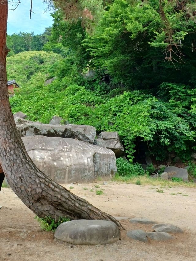 사색의 시간을 위한 고요한 절경