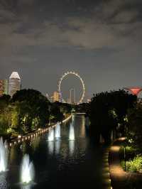 Supertree Grove at Night: Where Singapore Glows Like a Sci-Fi Movie