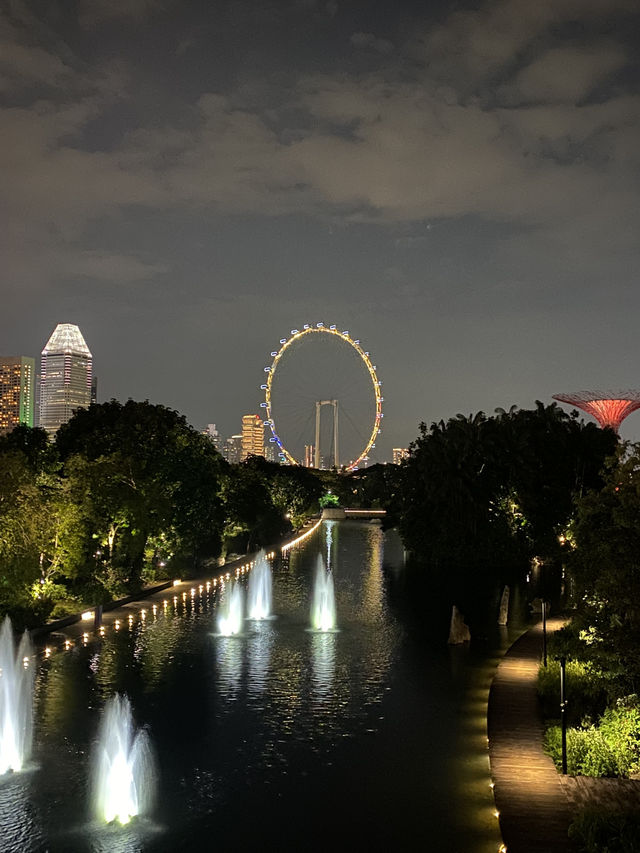 Supertree Grove at Night: Where Singapore Glows Like a Sci-Fi Movie