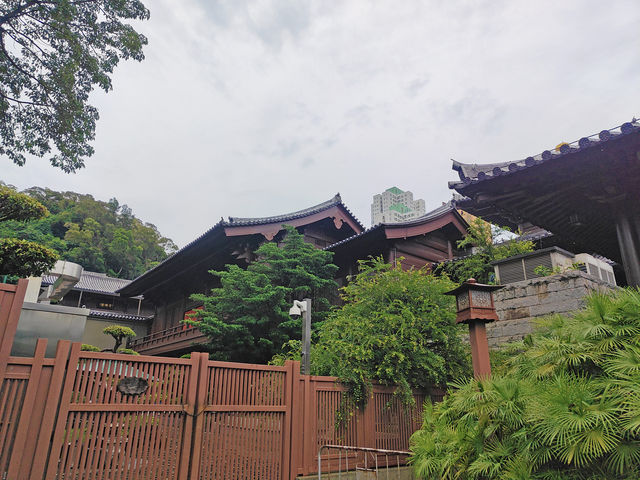 港都與世隔絕的蓮池淨土