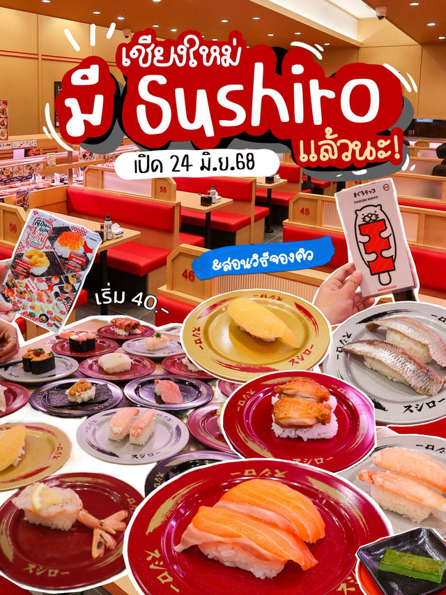 เชียงใหม่มี Sushiro แล้วนะ
