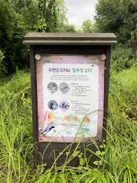 고덕 수변 생태 공원