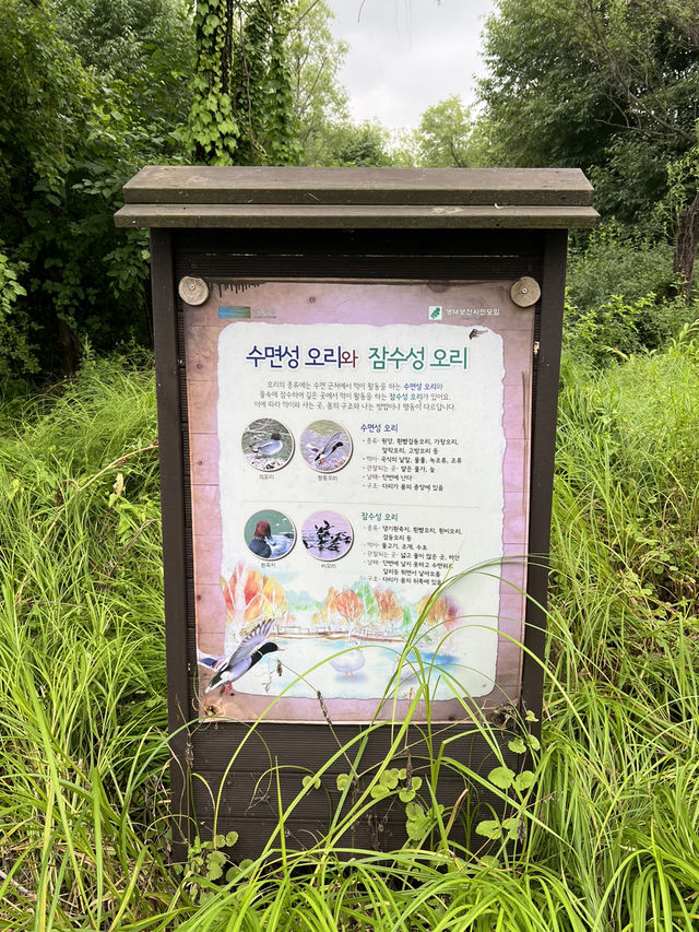 고덕 수변 생태 공원