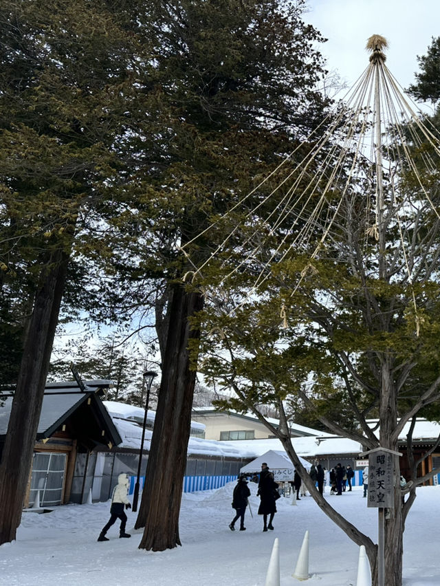 走進北國神域！北海道神宮四季皆美，冬雪中的參拜體驗絕對神聖又浪漫⛩️❄️🌸 