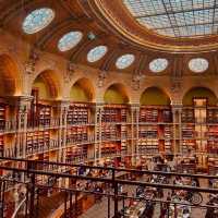 知の殿堂！フランス国立図書館の壮大な空間