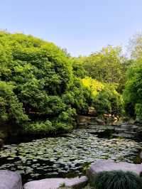 เดินเล่นใน Hangzhou Botanical Garden