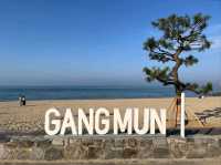 Temple Vibes & Beach Breezes at Gangmun’s Anmok Beach