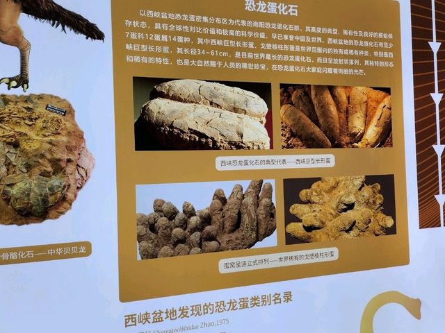 2025／06／17河南西峽恐龍蛋博物館