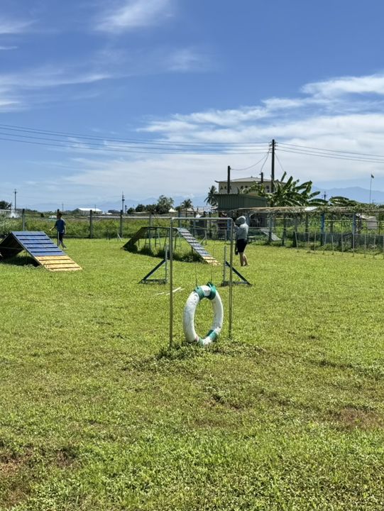 臺灣屏東🌳【這裡是毛小孩的遊樂園，也是爸媽的美食基地！】