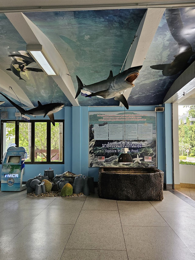 Phuket Aquarium 