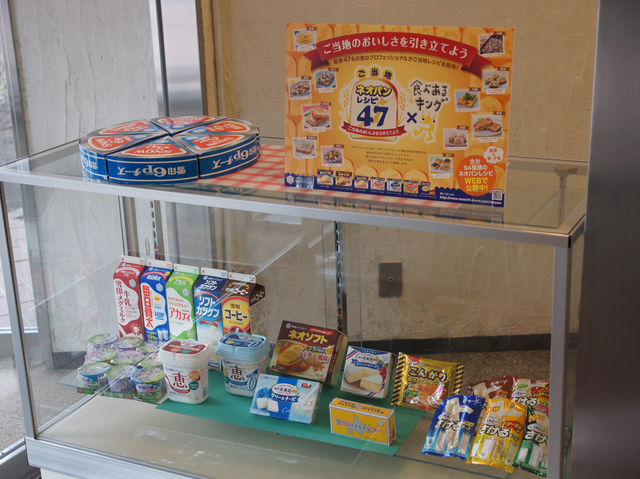🥛 Tasty and Educational Fun at Megmilk Snow Brand Factory