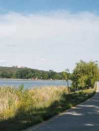 トビリシの癒しスポット🌿Lisi Lake周辺ののどかな風景