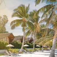 Irene Pool Villa Resort, Koh Lipe.