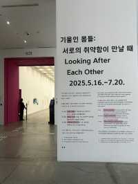 🎨 예술과 전통의 공존, 국립현대미술관 서울관 (MMCA Seoul) 