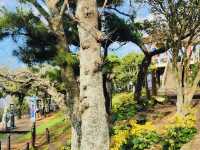 The Accessible Peak for Panoramic City and Ocean Views