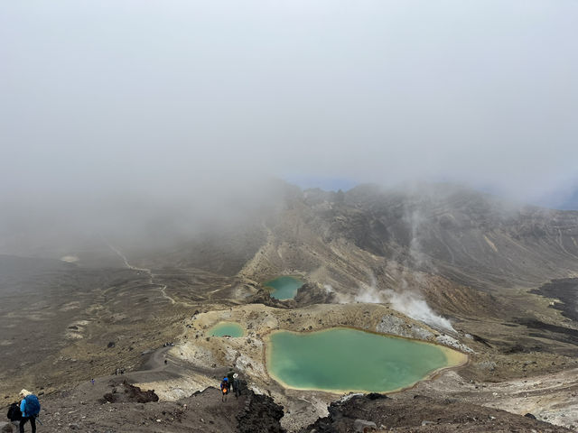 紐西蘭旅遊景點—🩵 Blue Lake 一圈剛剛好：在湖光山色裡呼吸森林