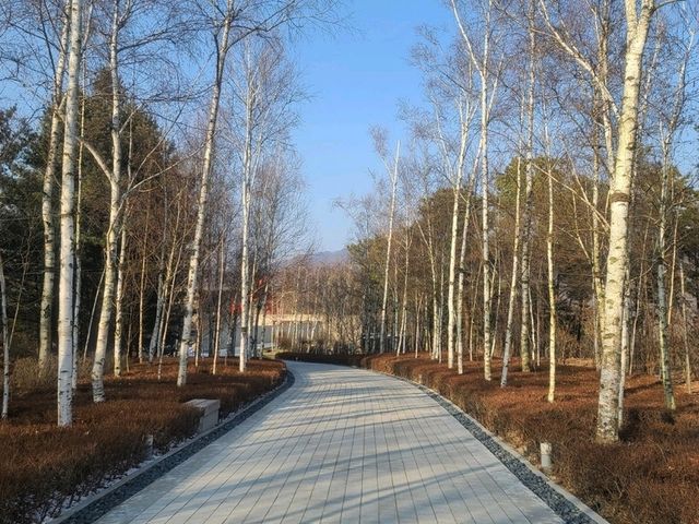 뮤지엄산 (뮤지엄권 + 제임스터렐관 + 명상관)