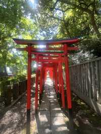東京 根津神社 ⛩️🌿