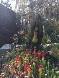 新加坡的室內植物園 Flower Dome