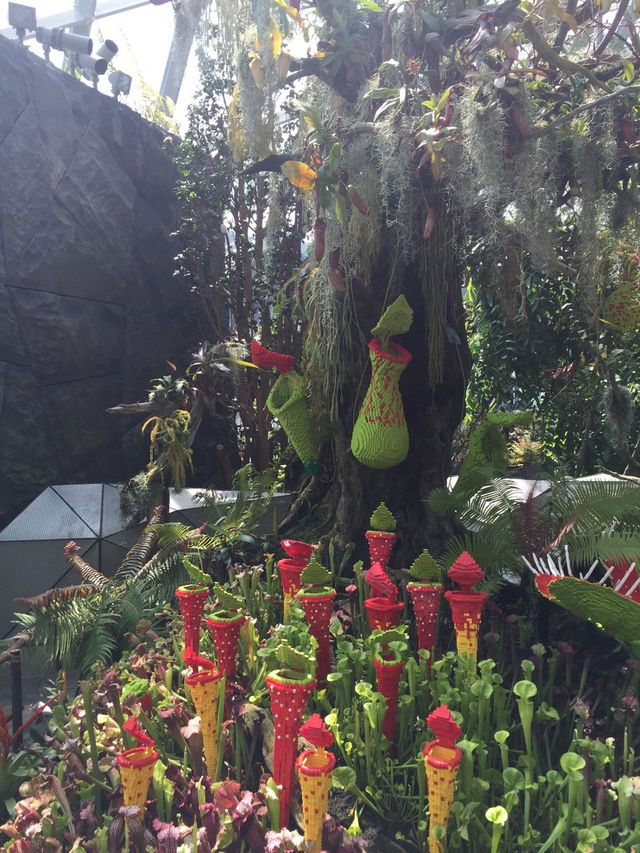 新加坡的室內植物園 Flower Dome