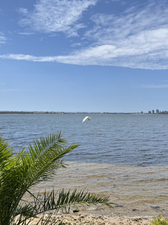💙 Perth’s Iconic Blue Boat House: Simplicity Meets Serenity 🛶🌊