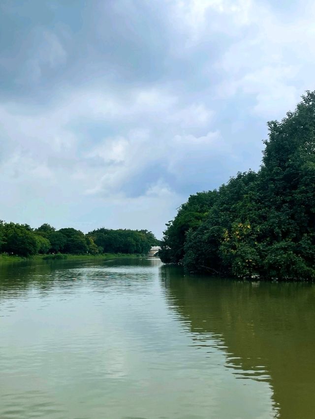 SUP & Serenity: Paddleboarding at Haizhu Lake Park