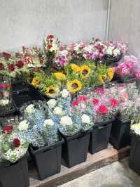 Whispers of Bloom at Dayang Ros Flower Boutique