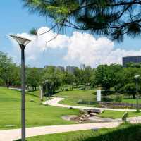白鷺洲公園•綠意天地