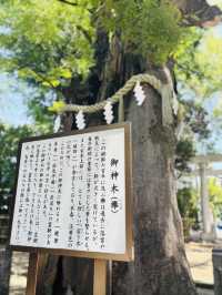 新田神社🇯🇵でパワーチャージ💪⟡.·