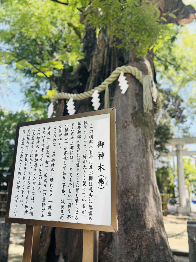 新田神社🇯🇵でパワーチャージ💪⟡.·