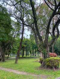 🕊 台北靜靜說故事的角落｜228 和平公園