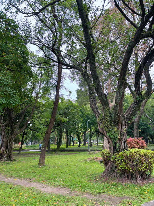 🕊 台北靜靜說故事的角落｜228 和平公園