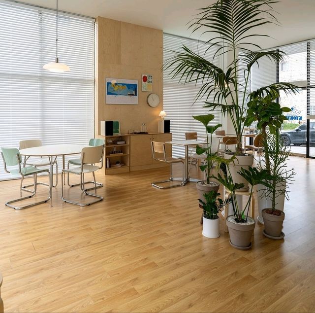 Kyokyo cafe