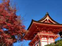 四季巡禮清水寺：京都名剎之美與儀式之心