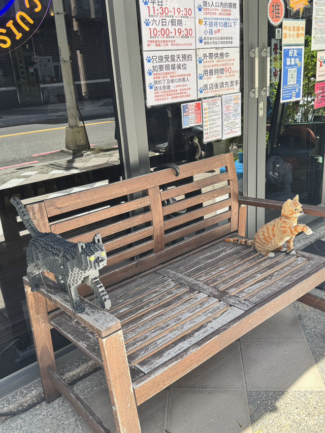 在高雄，遇見一間會「喵」的港味回憶 ——《貓之家俱樂部 Cat’s Home Club》