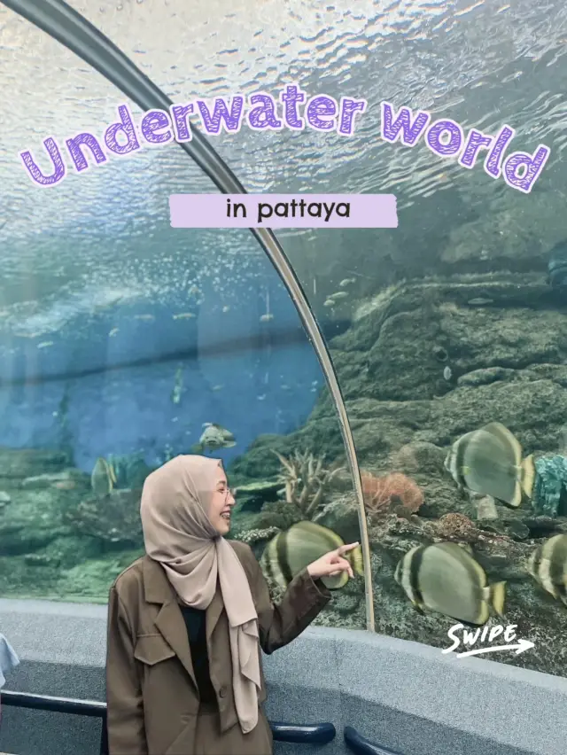 Underwater  world pattaya