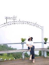 เที่ยวเชียงใหม่คนเดียว 
