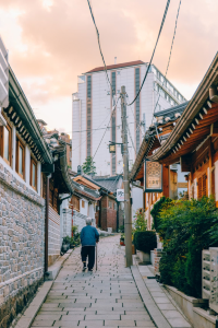 Wandering West of Gyeongbokgung: Seochon’s Quiet Charm 🌿🏯