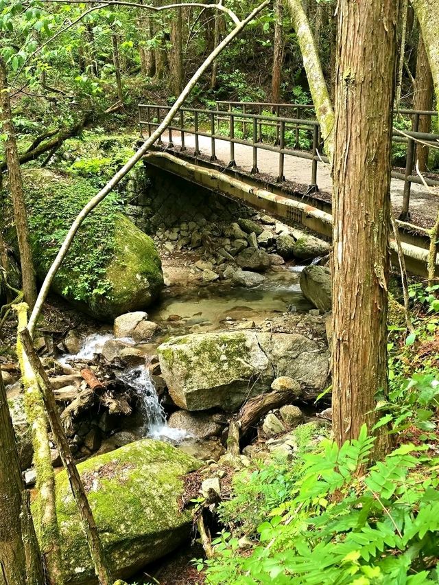 Walking Through Time: Tsumago-juku on the Nakasendo